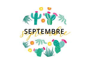 Septembre sous le signe des cactus